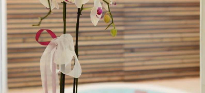 多洛米精品酒店(Dolomeet Boutique Hotel)图片