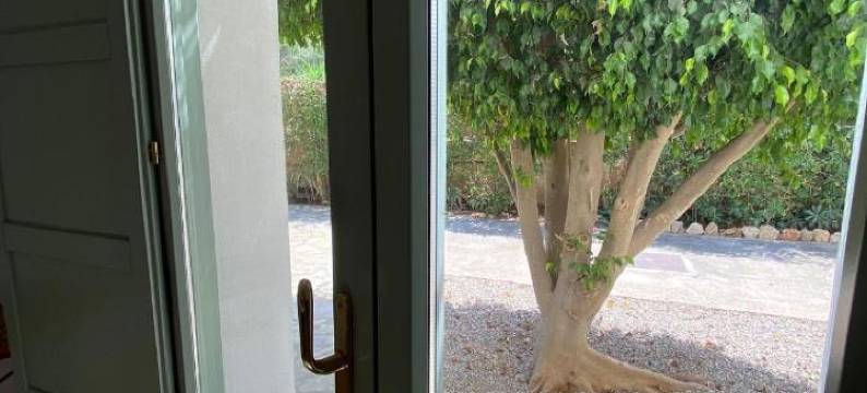 阿尔玛旅馆(Hostal Residencia Alma)图片