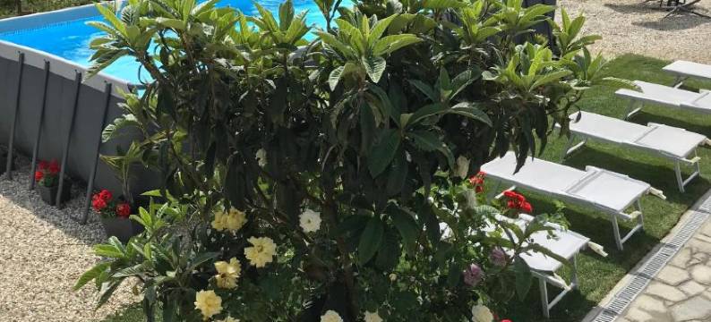 B&B别墅威斯提吉奥(B&B Villa Prestigio)图片