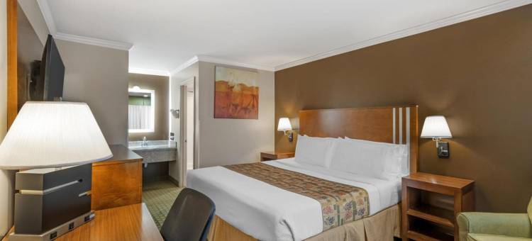 天际线贝斯特韦斯特汽车旅店(Best Western Skyline Motor Lodge)图片
