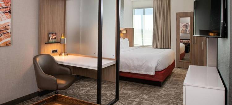 堪萨斯城东北SpringHill Suites酒店(SpringHill Suites Kansas City Northeast)图片