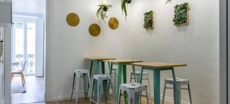 彩色旅舍(The Color Hostel)图片