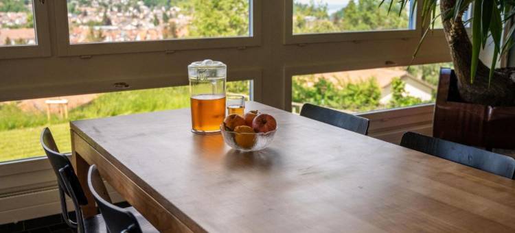 圣加仑青年旅馆(St. Gallen Youth Hostel)图片