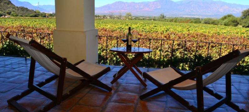 威纳斯卡法亚特葡萄酒度假酒店(Viñas De Cafayate Wine Resort)图片