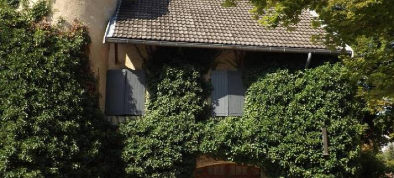 帕斯尔瑞斯酒店(Château de Passières)图片