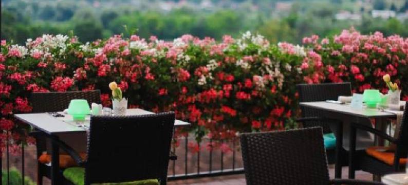 马格达莱纳别墅疗养酒店(Wellness Hotel Villa Magdalena)图片