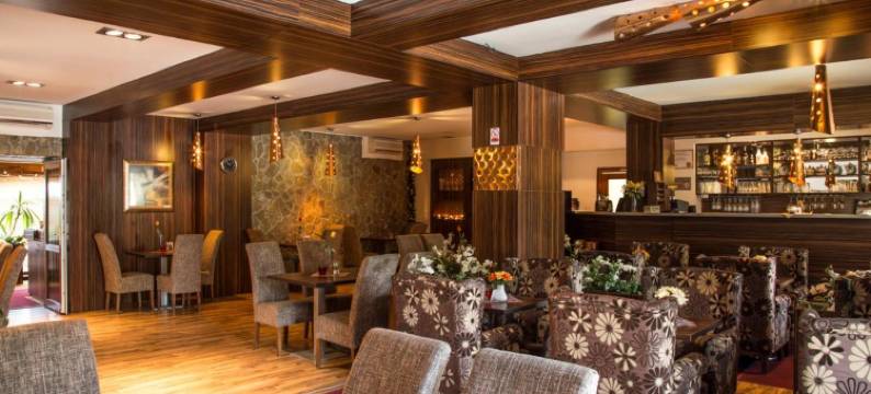 米尔林酒店(Hotel Mlyn)图片