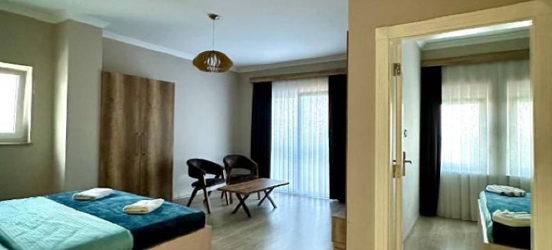 波里亚佩杰酒店(Hotel Borea)图片