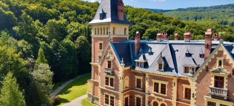 萨斯法尔城堡度假酒店(Kastélyhotel Sasvár Resort)图片