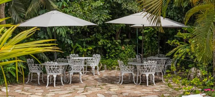 幽谷国际酒店(Hotel Cañada Internacional)图片