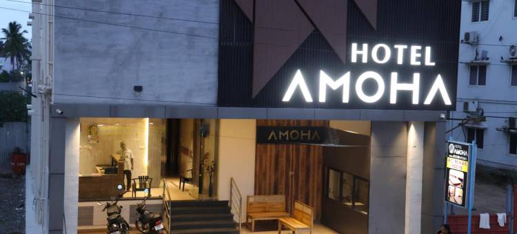 阿莫哈酒店(Hotel Amoha)图片