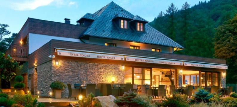 辛格酒店(Hotel Singer)图片