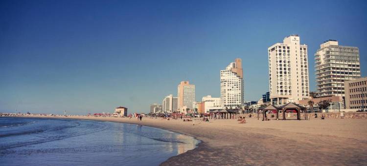 德布拉·布朗(Debrah Brown, a Member of Brown Hotels)图片