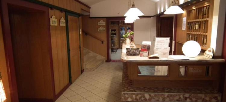 迪特拉贝酒店(Hotel Die Traube)图片