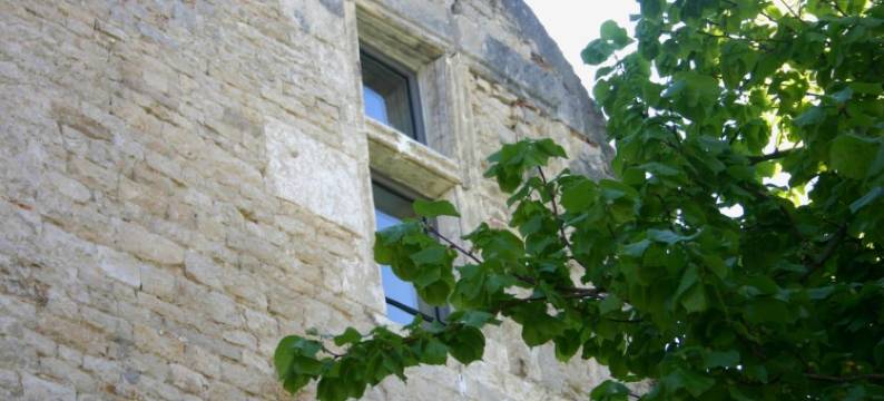 SY 阳台餐厅酒店(La Terrasse - Hôtel Restaurant à Vézelay)图片