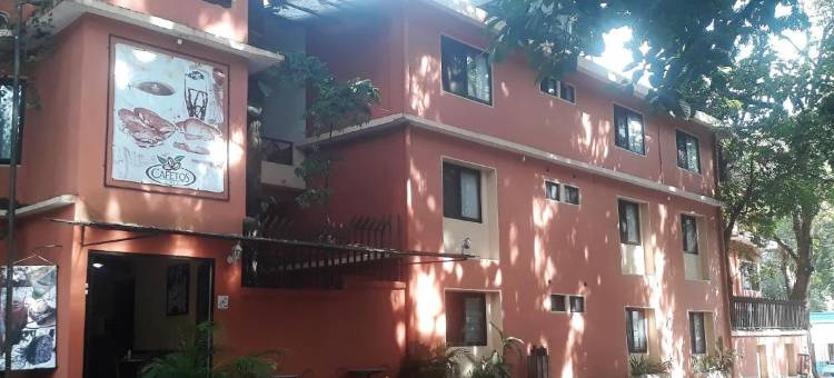 突莉潘思快捷酒店(Maya Tulipanes Express)图片