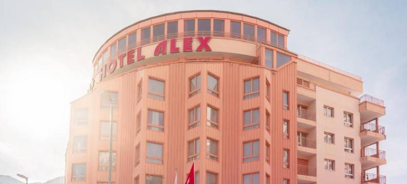 阿莱士商务及Spa酒店(Hotel Alex Business & Spa)图片