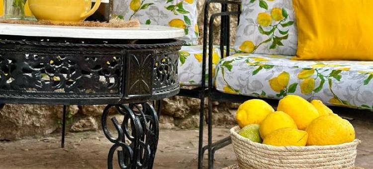 茵穆佩尔酒店(Hotel Imperial)图片