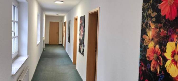 拜德布兰巴赫公园酒店(Parkhotel Bad Brambach)图片