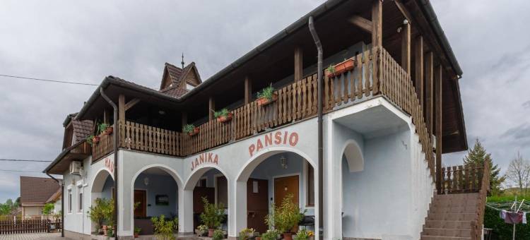 雅尼卡膳宿公寓(Janika Pension)图片