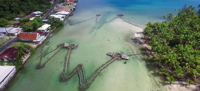 自然歌岛民宿(B & Bee Wild Island - Nature Song)图片