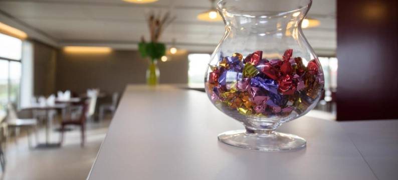 拉瓦勒酒店设计旅馆(Hotel Inn Design Laval)图片