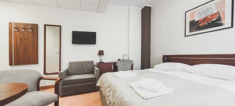 华沙克米娜酒店(Hotel Chmielna Warsaw)图片