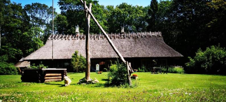 科特卡农场旅馆(Kotka Farm)图片