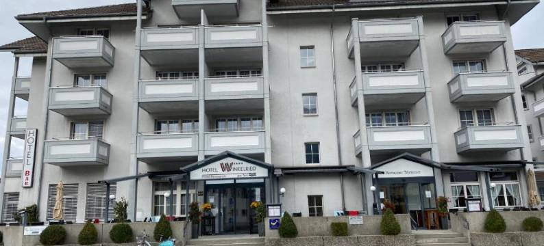 温克里德湖畔酒店(Seehotel Winkelried)图片