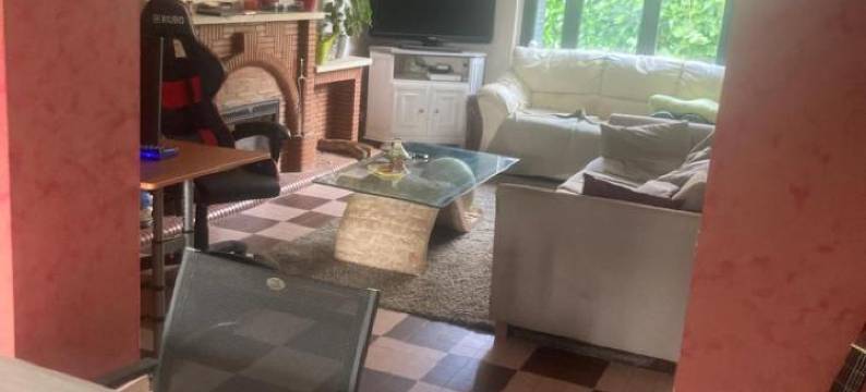 小比利时人(Le Petit Belge)图片