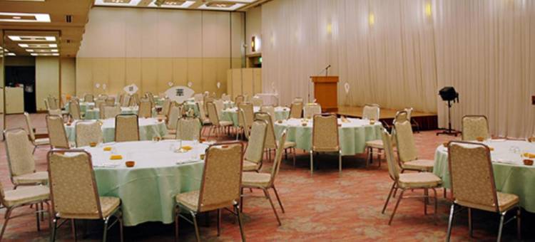 多贺城城堡广场酒店(Hotel Castle Plaza Tagajo)图片