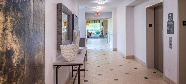 切斯特菲尔德圣路易斯希尔顿花园酒店(Hilton Garden Inn St. Louis/Chesterfield)图片