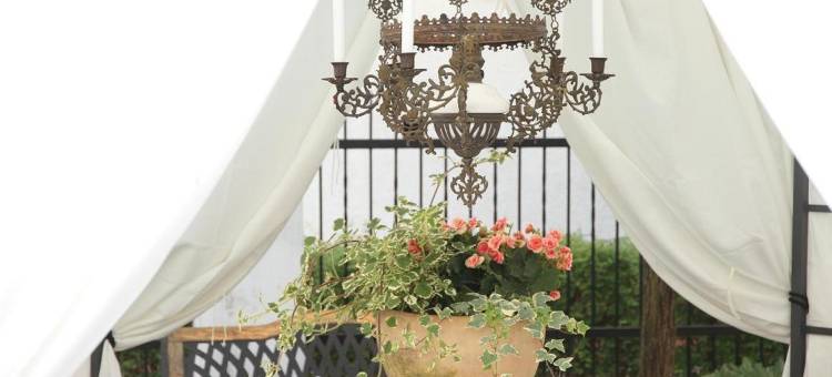 威拉维多利亚旅馆(Willa Viktoria)图片