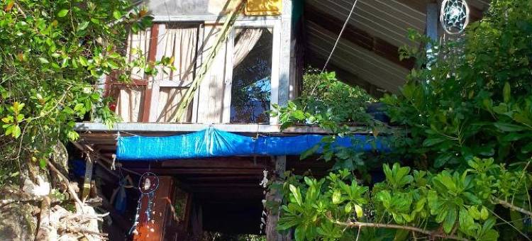 苏门答腊生态小屋(Sumatra Ecolodge)图片