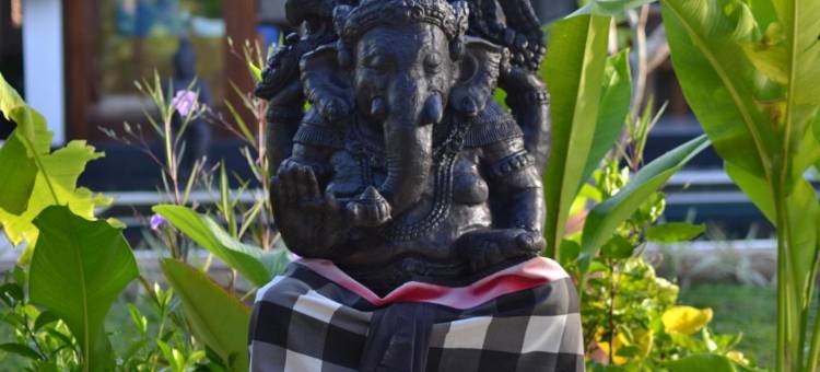 乌布香美别墅(Villa Kami Ubud)图片