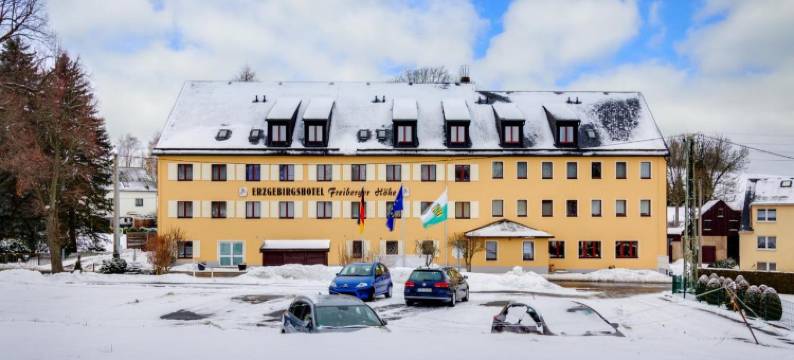 弗列柏格霍赫恩泽格比格斯酒店(Erzgebirgshotel Freiberger Höhe)图片