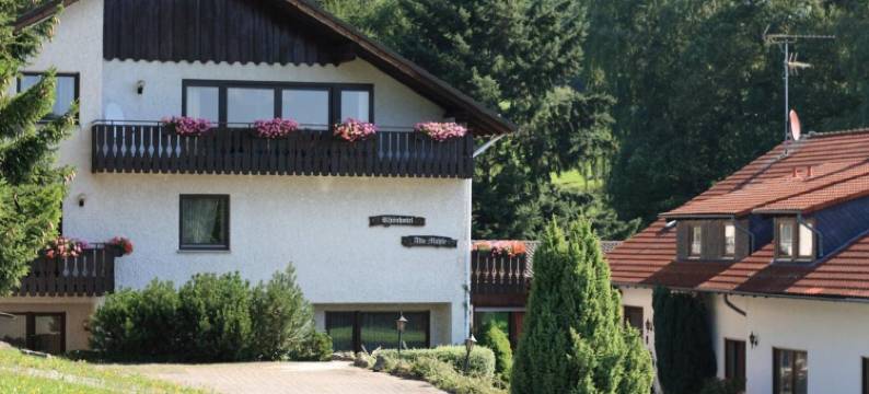 阿尔特穆尔隆酒店(Rhönhotel Alte Mühle)图片