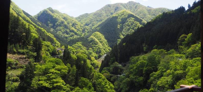 尼时基旅馆(Guesthouse Nishiki)图片