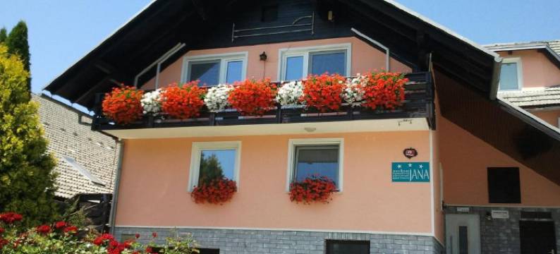 贾纳公寓酒店(Rooms & Apartments Jana)图片