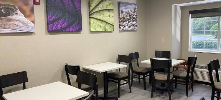 杰克逊维尔机场舒眠酒店(Sleep Inn Jacksonville Airport)图片