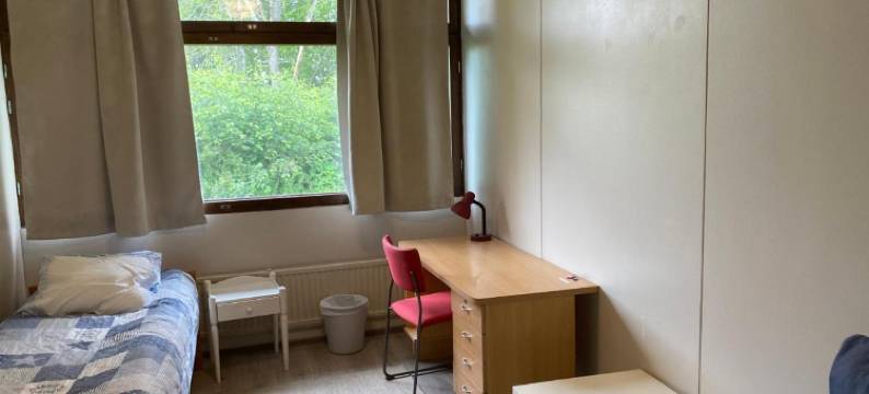 Kokemäen Opisto图片