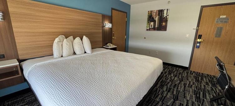 杰克森维尔酒店及套房(Jacksonville Inn & Suites)图片