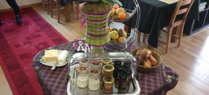 尚图瓦索酒店(Hôtel le Chantoiseau)图片