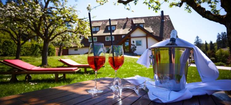 瑞登姆勒罗曼蒂克酒店(Romantik Hotel Rindenmühle)图片