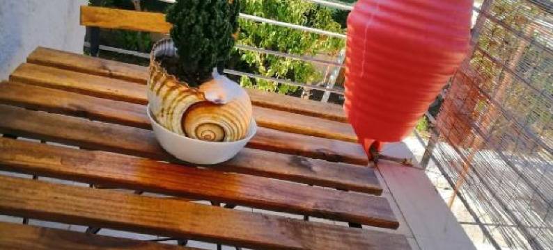 Trentatre Quarantatre图片