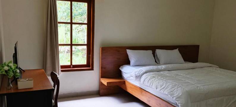 阿米尼旅馆(Amini Guest House)图片