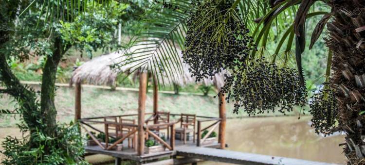 瓦莱多斯帕萨罗斯旅馆(Pousada Valle Dos Pássaros)图片