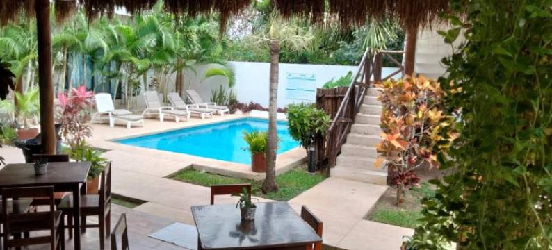 蓝色酒店 36(Azul 36 Hotel)图片