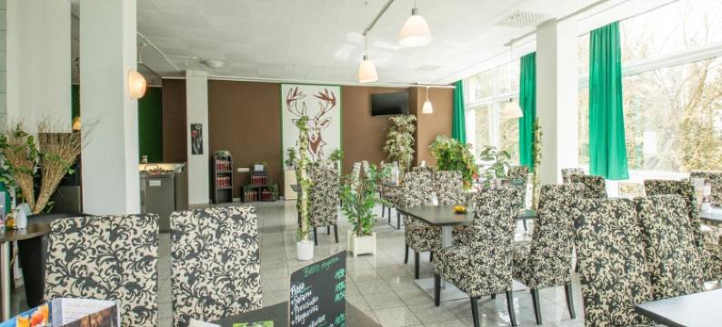 雷恩施泰格布利克假日酒店(Ferien Hotel Rennsteigblick)图片