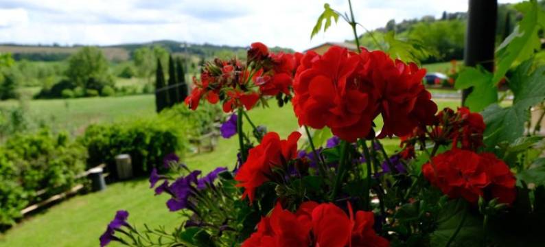 Agriturismo Sant'Agostino图片